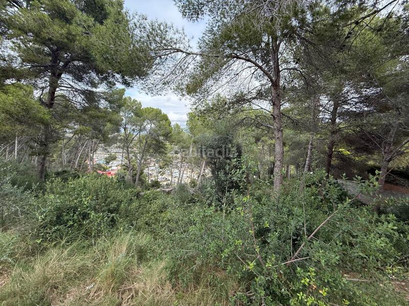 Foto 88ac6753-7c42-4cd3-bab9-c5cf454b311d. Terreny residencial a La Mora Tarragona