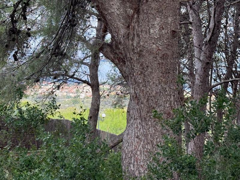 Foto 910573b6-9983-4227-8dbd-d12c65c41681. Terreny residencial a La Mora Tarragona