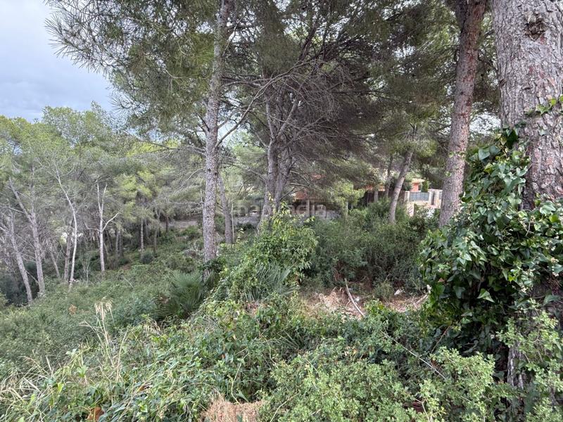 Foto ac38bf8f-4d44-414e-8e23-000fe0e49b09. Terreny residencial a La Mora Tarragona