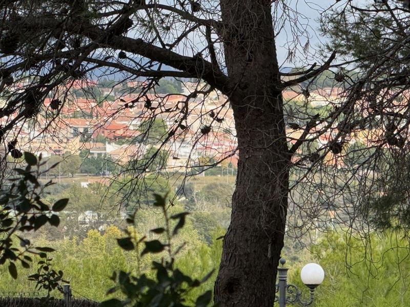 Foto d1e77b1e-0baf-4a97-a546-8b4e705019f0. Terreny residencial a La Mora Tarragona