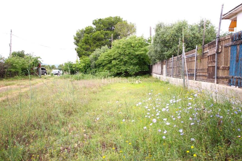 Foto bad3ad77-b3f5-425f-bce0-b01d3f9eb614. Terreno residenziale in Santa Oliva