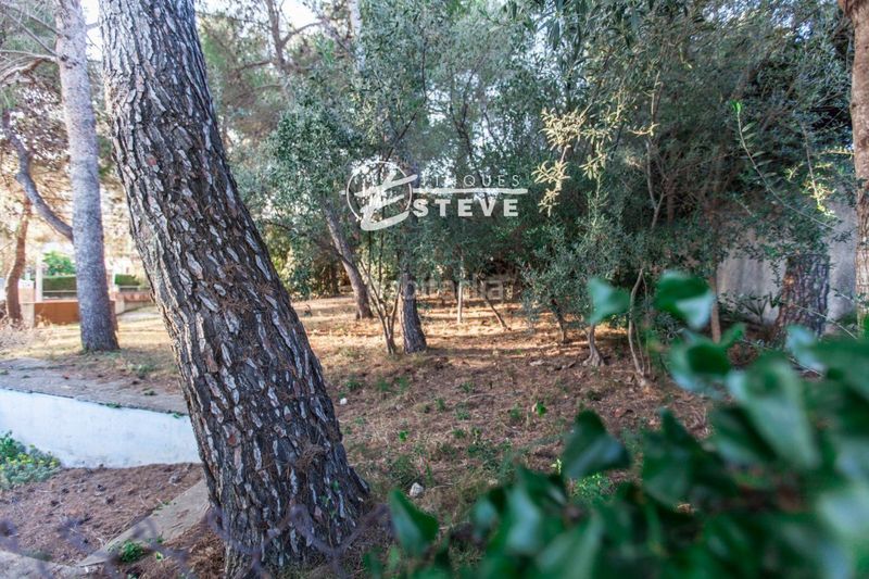 Foto 0aa42824-5a4a-492b-8358-6d5aa5a6e7bb. Finca rústica a Segur de Calafell nucli urbà Segur de Calafell