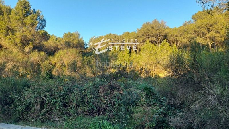 Foto ff42bd25-c226-415d-8836-ff37712d3223. Finca rústica a Calafell poble Calafell