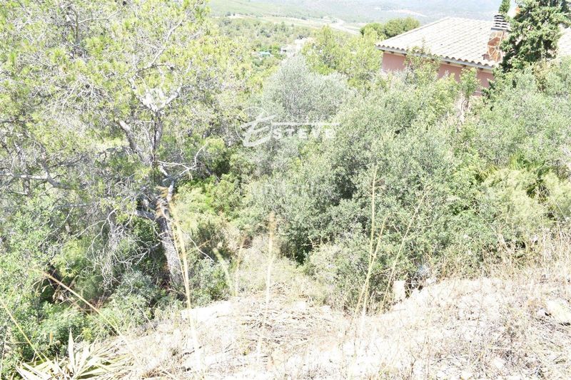 Foto 00ac1093-5617-466d-9ba5-581c5921a61c. Finca rústica a Bisbal del Penedès (La)
