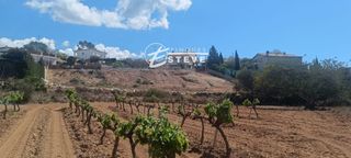 Rural plot  Rosa. Parcela para vivienda unifamiliar aislada