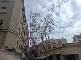 Local Comercial a Centre