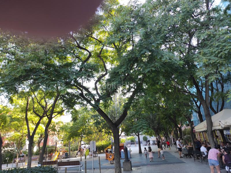 Foto 4a47d28c-83c9-4aa2-abd8-9fbf40ed5d16. Piso plaza mahatma gandhi en La Plana Esplugues de Llobregat