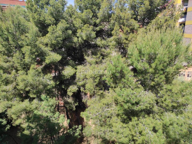 Foto 501e4981-a7b7-4739-9369-913e64f1b3ff. Pis a La Plana Esplugues de Llobregat