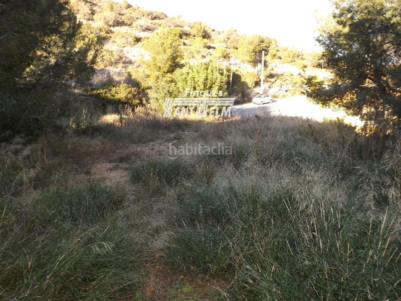 Foto ff33a4b7-6e9a-4329-aeba-0f5a68ed9922. Finca rústica a canada 2 a Segur de Calafell nucli urbà Segur de Calafell
