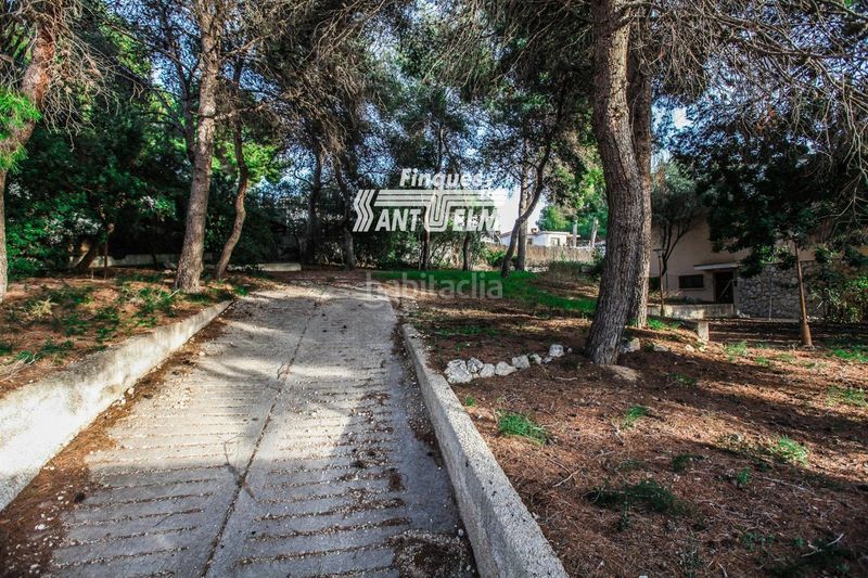 Foto 56393d74-d2c5-48d2-9a58-d3ab14b08a3e. Finca rústica a Segur de Calafell nucli urbà Segur de Calafell