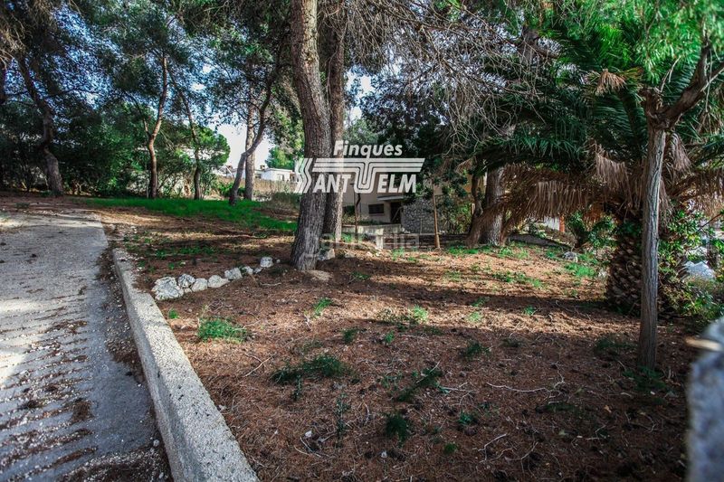 Foto 92213e36-eb96-466d-b6e5-75321668ff60. Finca rústica a Segur de Calafell nucli urbà Segur de Calafell
