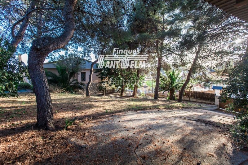 Foto e376130a-0526-42df-88a0-a2662a21e4ab. Finca rústica a Segur de Calafell nucli urbà Segur de Calafell