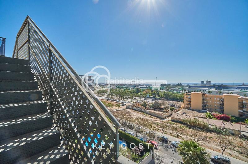 Foto c3f80cfb-b04a-4f35-88c4-6d92508d44ab. Àtic amb calefacció piscina a Babel Alicante