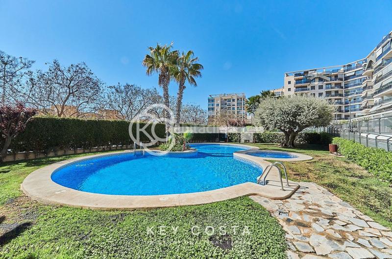 Foto f261772a-8e3d-4df9-92ff-8377277fa4a9. Àtic amb calefacció piscina a Babel Alicante