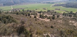 Rural plot  Avinguda terra alta. Finca rústica situada en una superficie elevada y llana. aceptam
