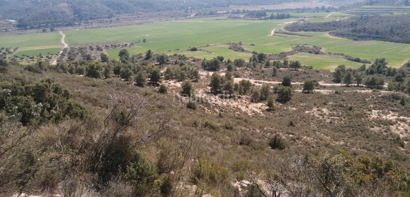 Foto 331dc9ae-0103-495b-9c14-d71aa1ca864b. Finca rústica  situada en una superficie elevada y llana. aceptamos pago en criptomoneda. en Batea