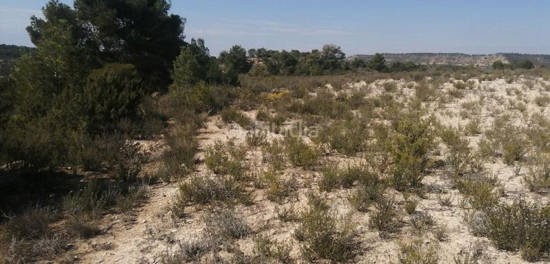 Foto dd4ea11d-416e-4ff2-9a01-e92138626059. Finca rústica  situada en una superficie elevada y llana. aceptamos pago en criptomoneda. en Batea