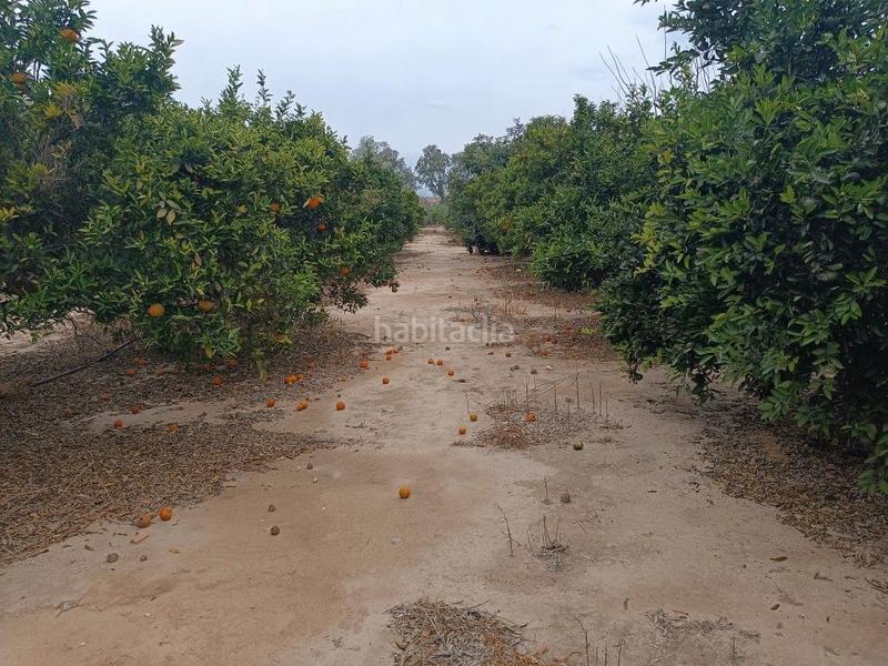 Foto 0d39ffb0-41c0-4cb3-81c3-316138d0c05d. Landgut in avinguda generalitat 42 in Tivenys