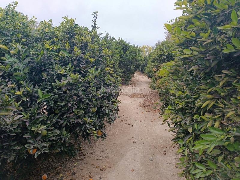 Foto 9fd99a12-33d3-41bb-8e6b-24845f3c39fe. Landgut in avinguda generalitat 42 in Tivenys