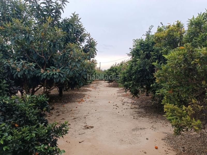 Foto bc9f4f25-a8a4-4b52-8860-44e68afa24c3. Landgut in avinguda generalitat 42 in Tivenys