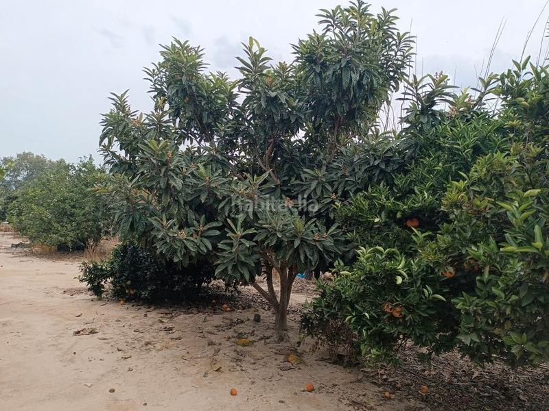 Foto c0ff29a9-fb77-4937-aa8b-225fdd7e66bf. Landgut in avinguda generalitat 42 in Tivenys