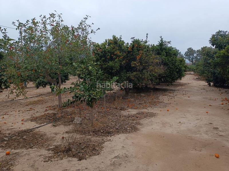 Foto cb4f76ba-f296-4268-9153-f9fe1e9880da. Landgut in avinguda generalitat 42 in Tivenys