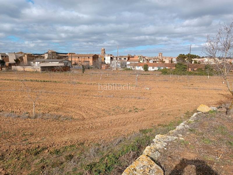 Foto 16e63553-7426-4007-807f-1699bfac2fbe. Terreny residencial a carrer dels diumenges 10 a Albi (L´)