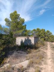 Finca rústica a Avenida aragón 3. Finca de 5,6 hectáreas con olivos, almendros y agua de pozo
