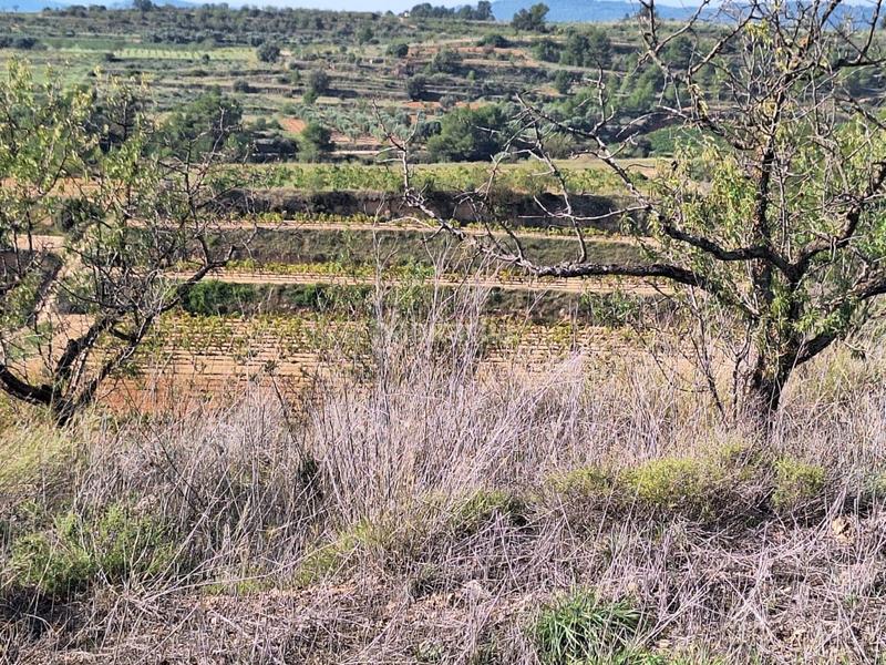 Foto 21ea0895-eb7b-47f3-a992-e314429c3be4. Masia a Bot