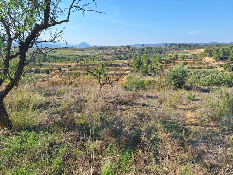 Foto 791dfac8-c24d-4981-a191-e08c2f935bc5. Masia a Bot