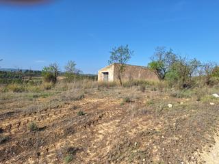 Mas à Bot. Finca rústica de 2,4 ha. con almendros, viña y casa de campo.