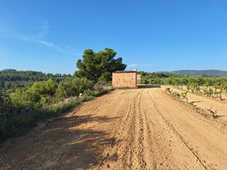 Mas à Bot. Finca rústica de 2,4 ha. con casa de campo de 35 m2 con permiso