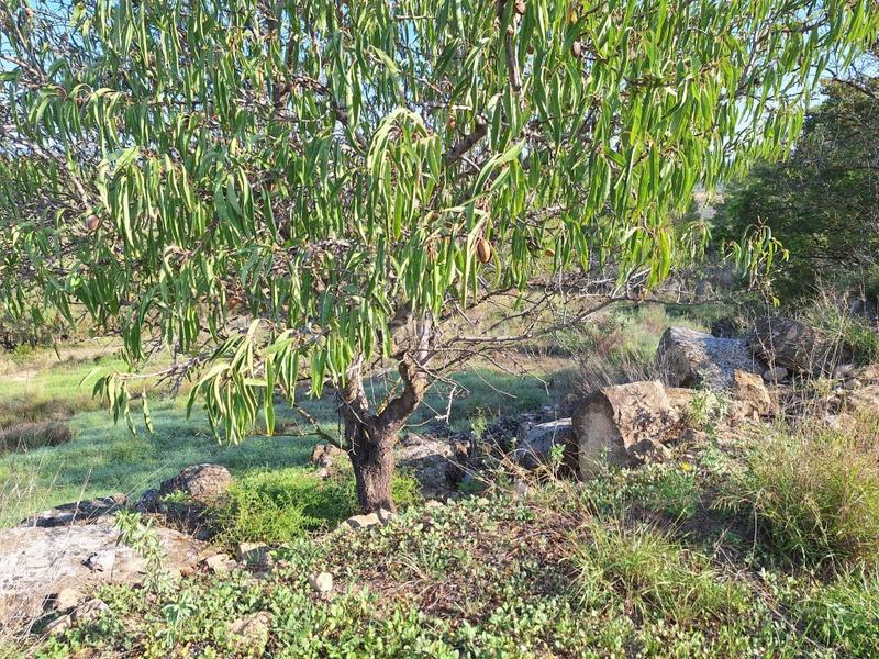 Foto 310a3bd5-0d33-42be-aeac-6cca8169df6b. Country house with parking in Bot