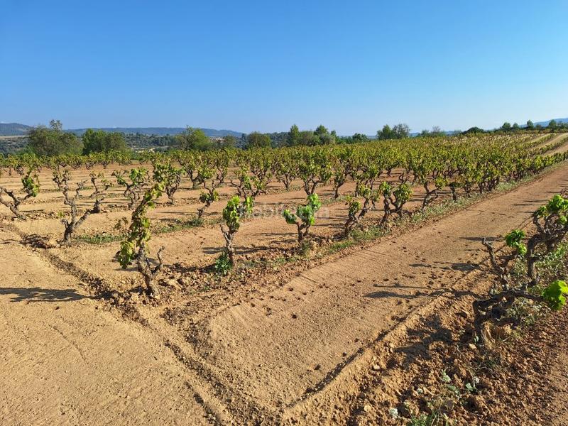 Foto 8f71de91-74bf-4a87-9f11-71a573fe4f15. Country house with parking in Bot