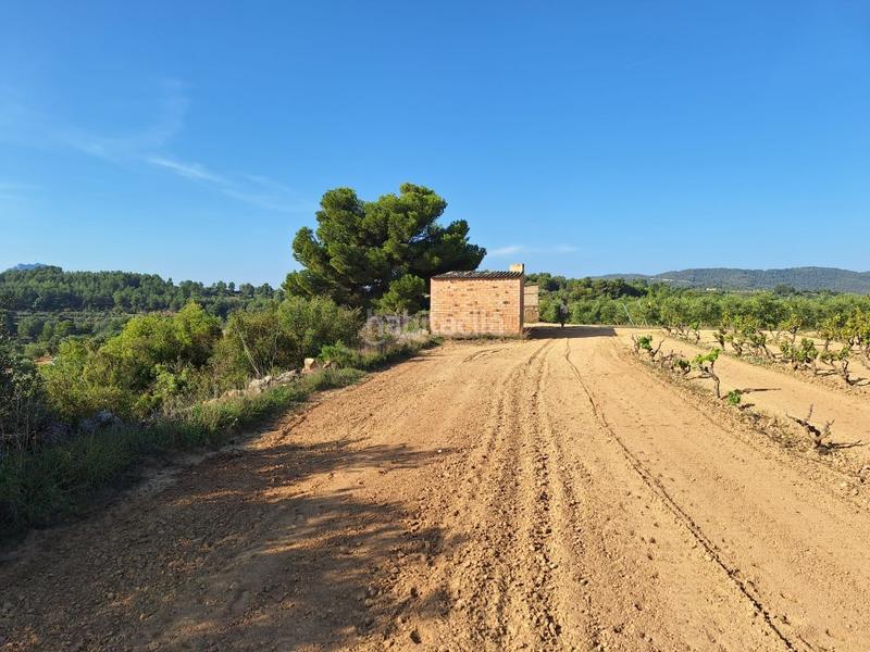 Foto cd1edb02-5278-4ee6-b6d4-47c385409f5c. Country house with parking in Bot