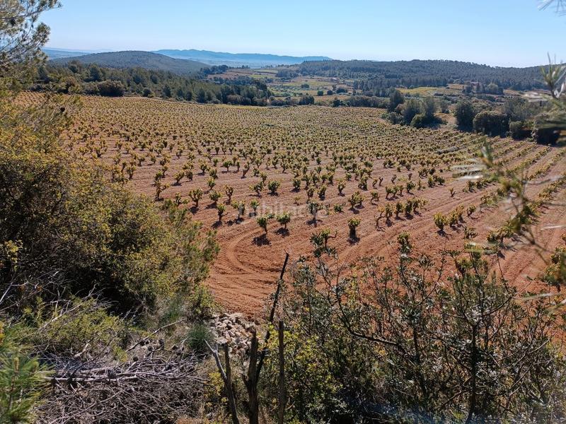Foto 6cec4345-24c8-4512-b228-2d1c0fc3a84a. Fondo rustico in Sant Julià Vilafranca del Penedès