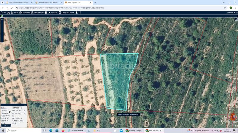 Foto f6ed6d95-1001-4c28-84cd-35cdf17f28ee. Fondo rustico in Ensanche - Parque Santa Rosa Castellón de la Plana