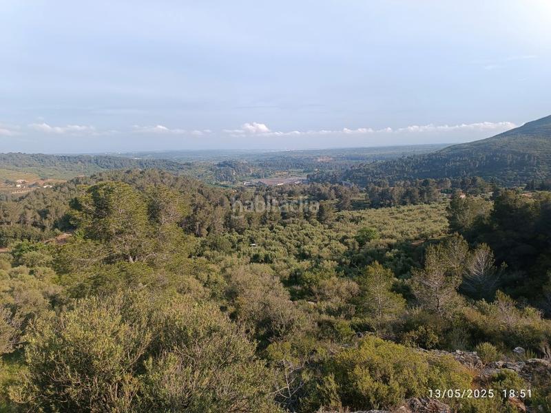 Foto 4db3b885-f7f6-436a-9c1d-deb0169dbe74. Finca rústica a carretera de tarragona 12 a Valls