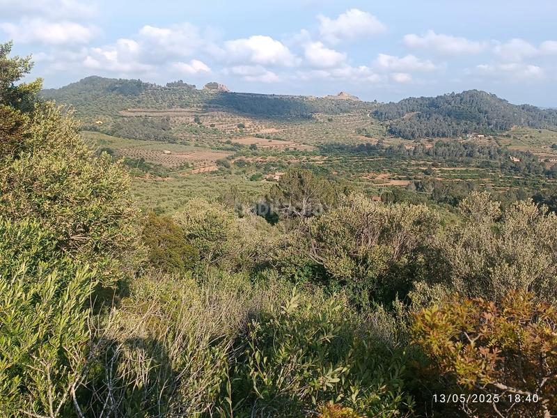 Foto 512d1435-e564-4818-b67d-52aa7aea5622. Finca rústica a carretera de tarragona 12 a Valls
