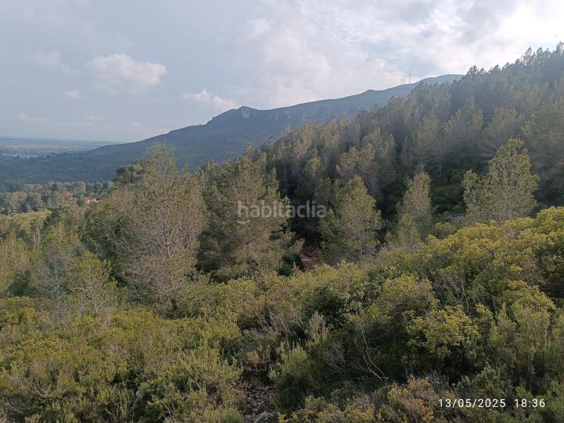 Foto b4144440-f46a-4b29-b71c-ca29618f1a6b. Finca rústica a carretera de tarragona 12 a Valls