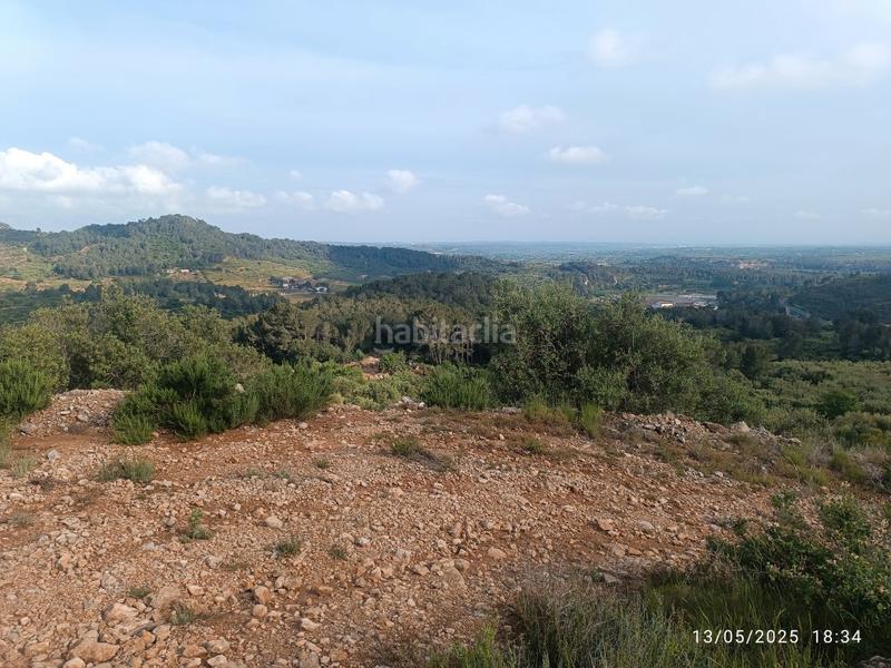 Foto db83848c-24c6-4df1-ad8d-20648c297e9e. Finca rústica a carretera de tarragona 12 a Valls