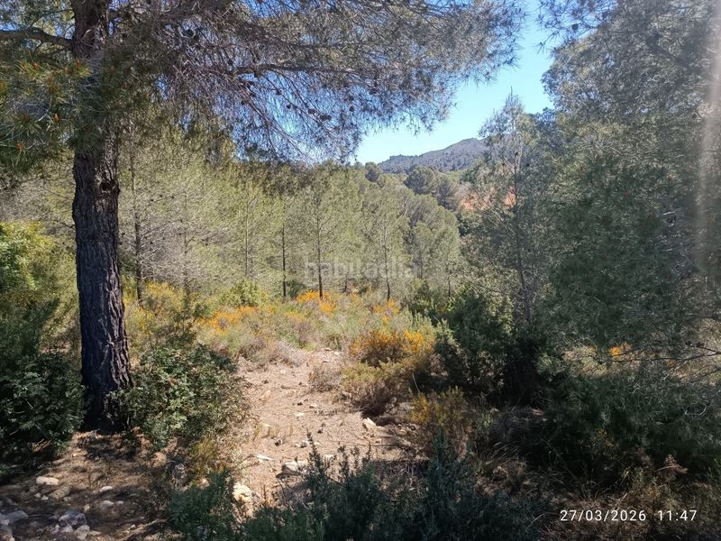 Foto 213c5d33-ee10-48d0-9683-fe94037e637d. Finca rústica a Jarafuel