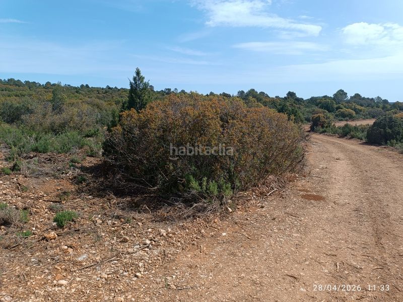Foto 40afb483-24b7-4408-a35a-14c4c294d077. Finca rústica a Fuenterrobles