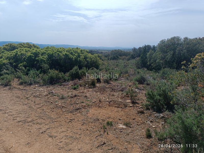 Foto ca101bb6-f954-4aac-bb04-8ceb4bace881. Finca rústica a Fuenterrobles