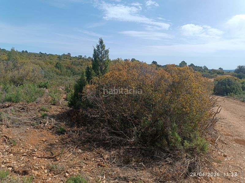 Foto cabcdc84-c57e-4965-a102-93f2af000511. Finca rústica a Fuenterrobles
