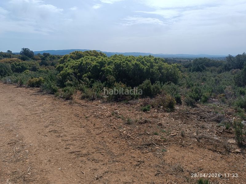 Foto d188f3ce-dc7c-4d60-b4d0-23d19f0a0e4b. Finca rústica a Fuenterrobles