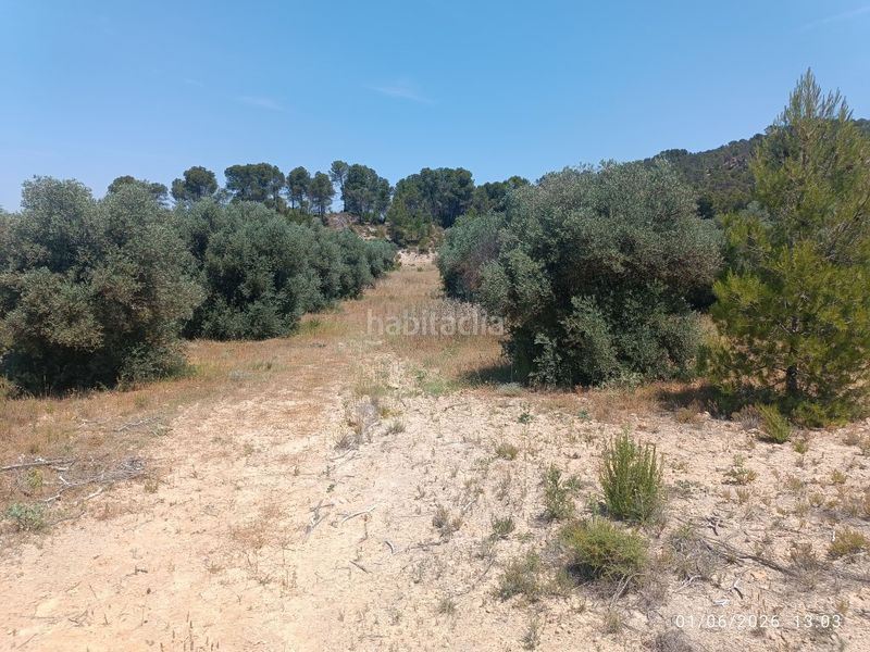 Foto 8301a79d-6330-4579-a714-b31b092d876e. Finca rústica a n/a a Requena