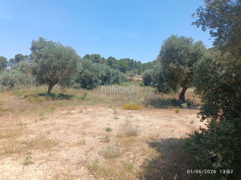 Foto aa2d62dd-ba2e-4132-a5bb-8d9f4130adea. Finca rústica a n/a a Requena