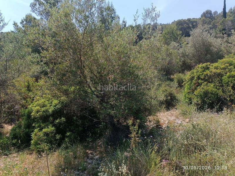 Foto 34dc8471-1cf4-4745-96ee-dc3423c3ee00. Finca rústica a Zona Hospital Amposta