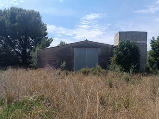 Nau industrial a Carretera de canet lo roig a xert 12. Finca de 3 hectáreas con una nave de 1.200 m2 + casa de campo